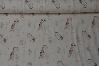 Jersey Eulen / Owls natur